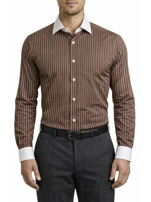 Chemise col blanc à rayures marron Régular Bill Tornade