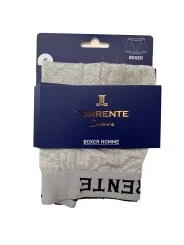 Boxer gris Torrente